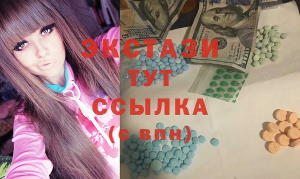 ECSTASY Богородицк