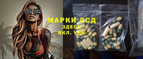 ECSTASY Богородицк