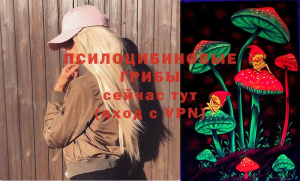 ECSTASY Богородицк